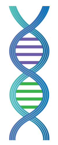 DNA